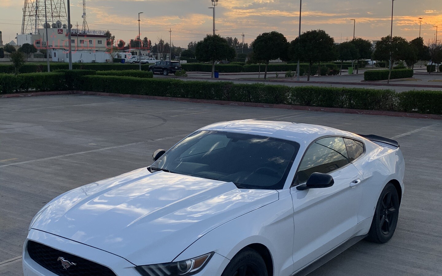 ford ‎mustang